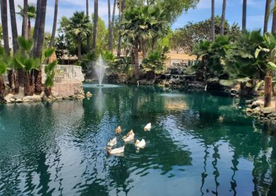 lagoon at rancho de las palmas