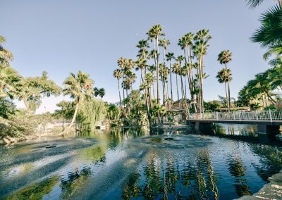 the lagoon at Rancho de las Palmas, a wedding and event venue in Moorpark, CA