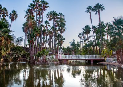 a lagoon surrounded by palm trees, with a fountain in the middle and a bridge going across. Located at Rancho de las Palmas wedding venue in Moorpark, CA