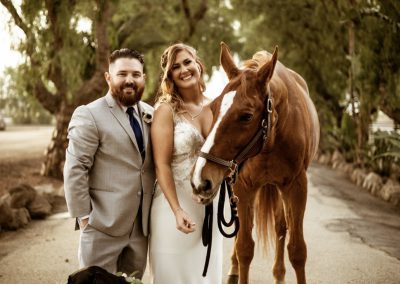 bride and groom with horse and dog